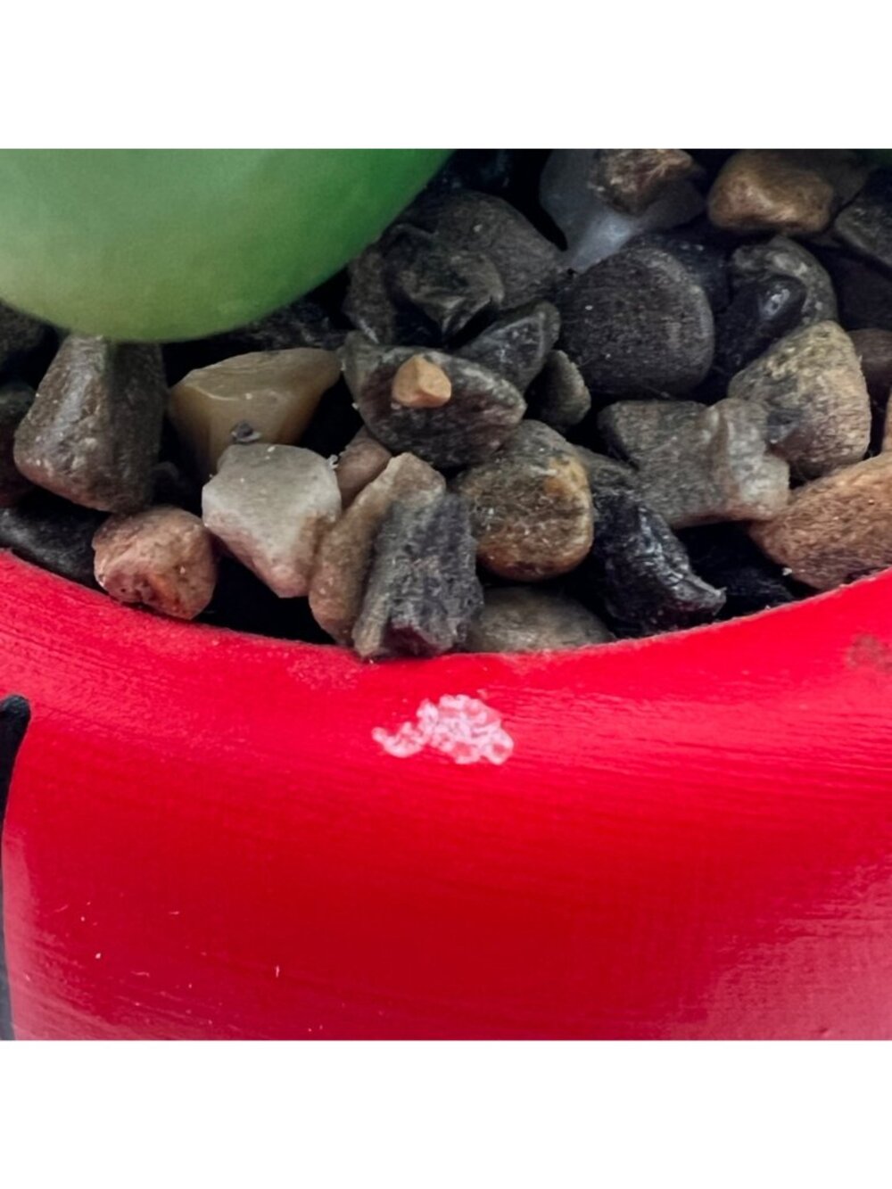 Spider-Man Planter Pot By Marvel Comics 5.5" Tall Artificial Succulent & Gravel - Picture 11 of 14